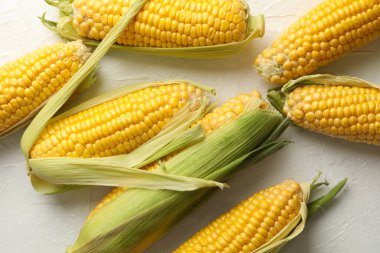 Beyaz arka planda taze çiğ mısır, üst görünüm