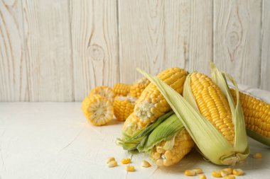 Beyaz arkaplanda taze çiğ mısırla kompozisyon, metin için boşluk