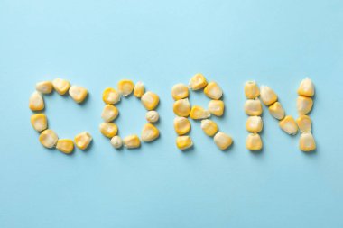 Mavi arkaplandaki tohumlardan oluşan metin mısırı