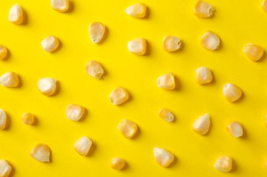 Sarı zemin üzerinde mısır tohumları ile düz yatıyordu, üst görünüm