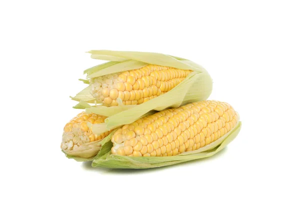Fresh Raw Corn Isolated White Background — Stock Photo, Image