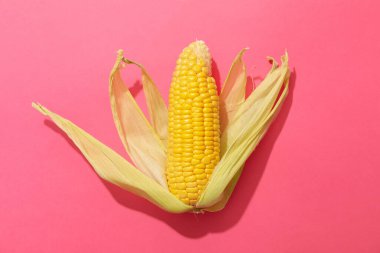 Pembe arka planda taze çiğ mısır, üst manzara