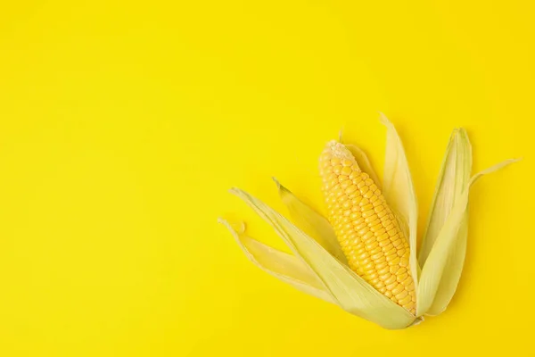 Fresh Raw Corn Yellow Background Top View — Stock Photo, Image