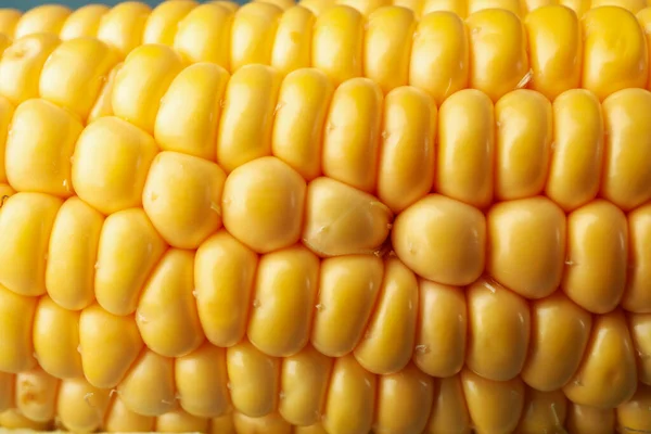 Fresh Raw Corn Whole Background Close — Stock Photo, Image