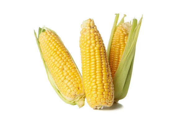在白色背景上分离的新鲜生玉米 — 图库照片