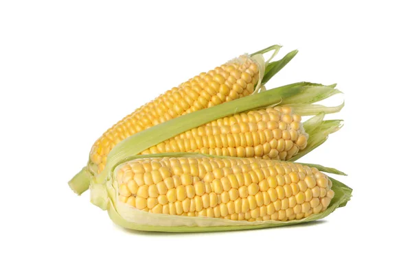 Fresh Raw Corn Isolated White Background — Stock Photo, Image