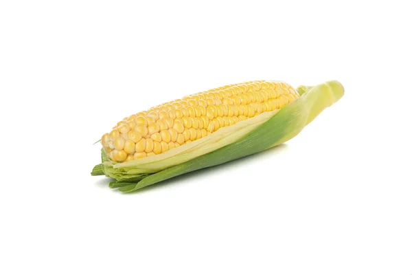 在白色背景上分离的新鲜生玉米 — 图库照片