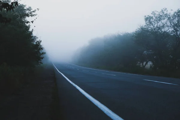 Ködös Reggeli Gyönyörű Nyári Reggel Utazás — Stock Fotó