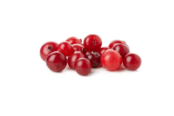 Cranberry Segar Lezat Yang Terisolasi Dengan Latar Belakang Putih — Stok Foto