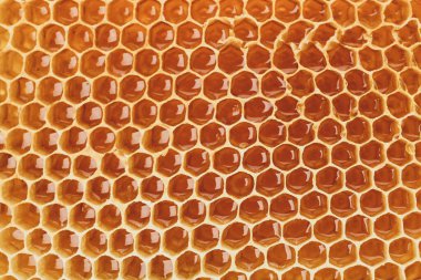 Tüm arka planda taze bal peteği, kapat