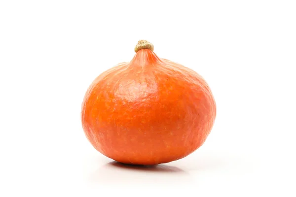 Eén Oranje Pompoen Geïsoleerd Witte Achtergrond — Stockfoto