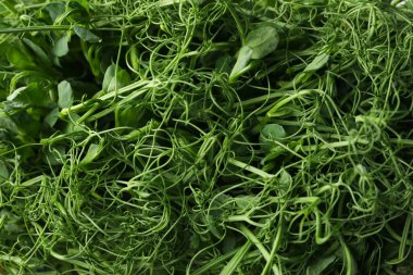 Arka planda yeşil bezelye filizleri, üst görünüm