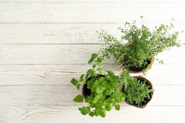 Beyaz ahşap arka planda farklı otlar, üst görünüm