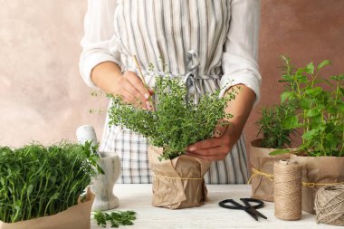 Beyaz ahşap masada farklı otlar ve kahverengi arka planda farklı kadınlar.