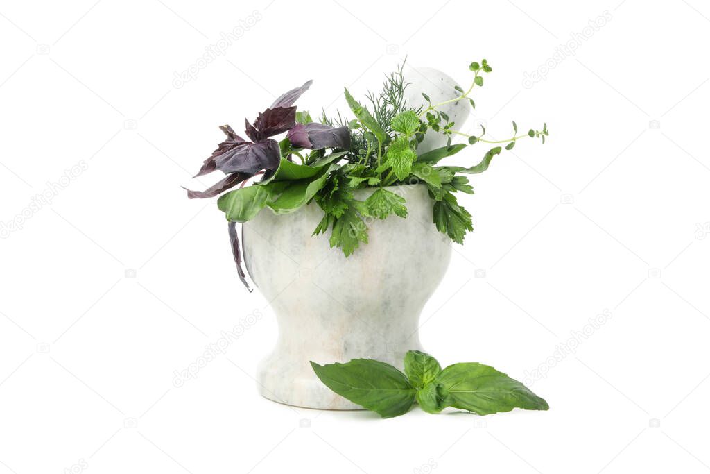 Marble mortar with different herbs isolated on white background