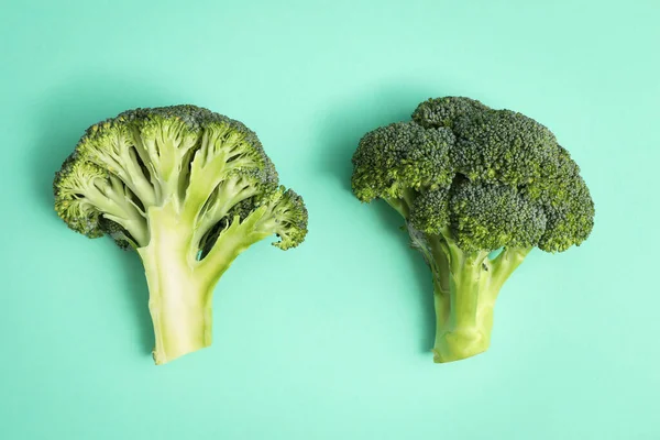 Two Fresh Green Broccoli Mint Background — Stock Photo, Image