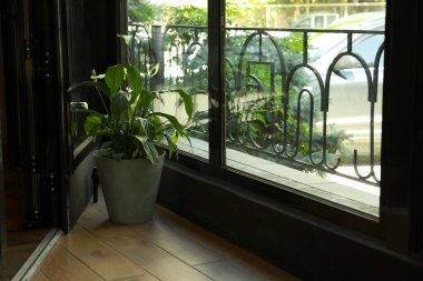 Lokantadaki saksıya saksı koy.