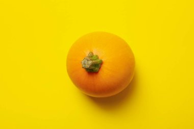 Sarı zemin üzerinde yuvarlak kabak, üst görünüm