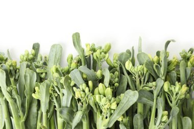 Beyaz arkaplanda taze yeşil brokoli izole edilmiş.