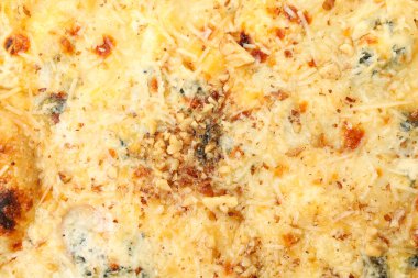 Tüm arka planda peynirli pizza, kapat.