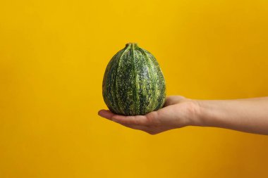 Sarı arka planda kadın eli kabağı.