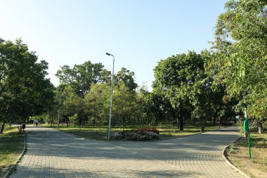 Güneşli bir sabahta güzel bir şehir parkı.