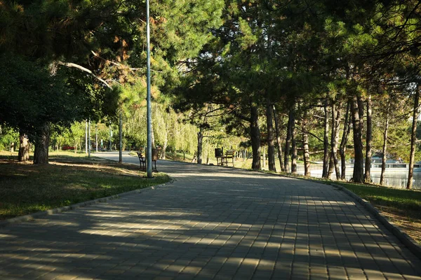 Schöner Stadtpark Einem Strahlend Sonnigen Morgen — Stockfoto