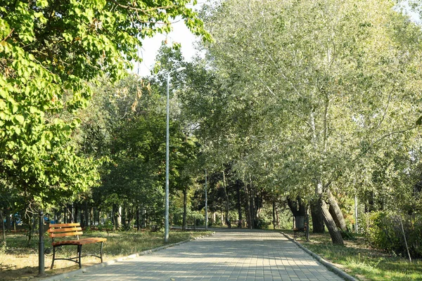 Bellissimo Parco Cittadino Nella Luminosa Mattinata Sole — Foto Stock