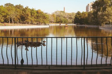 Güneşli sabahlarda gölü olan güzel şehir parkı