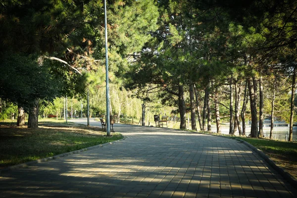 Prachtig Stadspark Heldere Zonnige Ochtend — Stockfoto