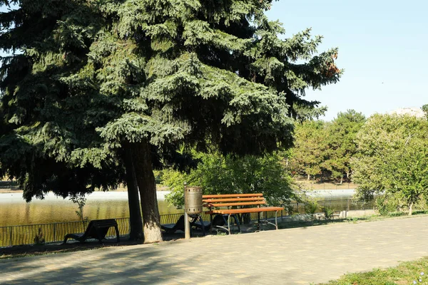 Belo Parque Cidade Manhã Ensolarada Brilhante — Fotografia de Stock