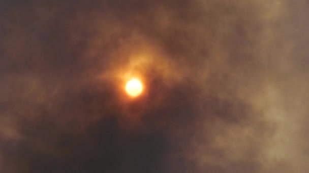 Foc Stepă Fumul Negru Blochează Lumina Soarelui — Videoclip de stoc