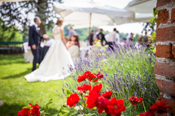 Table Set Event Party Wedding Reception — Stock Photo, Image