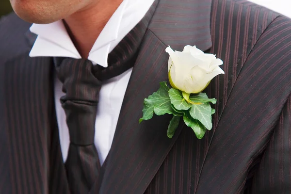 Brudgummen Eleganta Smoking Med Boutonniere Stockbild