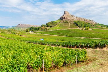 La Roche de Solutre with vineyards, Burgundy, France clipart