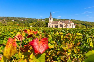 Beautiful church of Givry, nestled in the vineyards of Burgundy, clipart