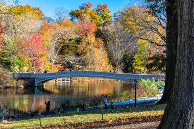 Central Park'ta bulunan Bowl Köprüsü
