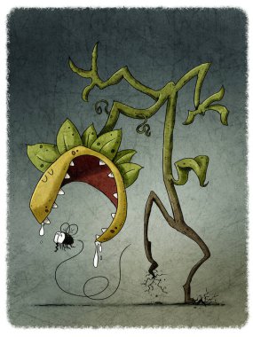 Etçil bir bitki, yemek üzere olan bir sineğin arkasında yürüyor. komik illüstrasyon.
