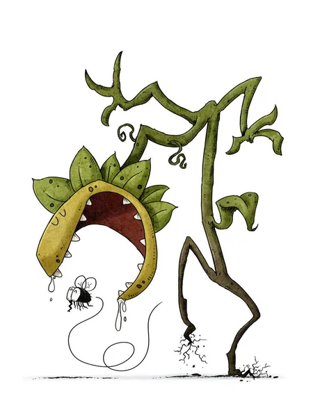 Плотоядное Растение Идущее Мухой Которая Собирается Смешная Иллюстрация Изолированные Стоковое Фото