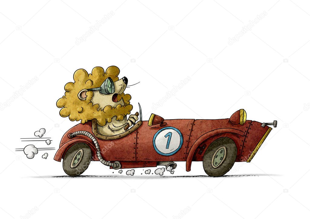 illustration of a lion driving an old red racing car with number one. isolated