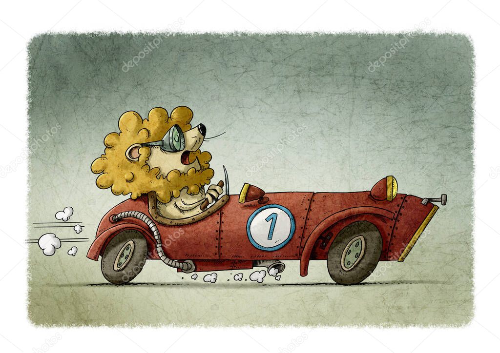 illustration of a lion driving an old red racing car with number one.