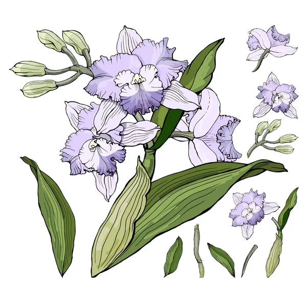 Sekiz, on bir, beş, dört, dokuz, bir, yedi, altı, on, üç, on iki,