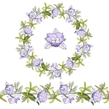 Doğal çelenk veya dalları çerçeve orkide cattleya beyaz bir arka plan üzerinde hassas çiçekli çizilmiş.