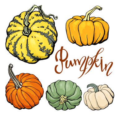 Tasarım şablonu ile turuncu, yeşil, bej kabaklar yazdırma. Cadılar Bayramı illüstrasyon vektör.