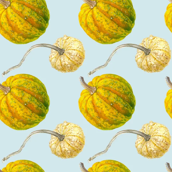 Pumpkin watercolor illustrations isolated on color background. Seamless pattern with colorful Pumpkins.
