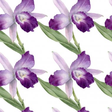 Orkide suluboya çizimler renk arka plan izole. Renkli orkide ile dikişsiz desen.