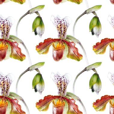 Orkide suluboya çizimler renk arka plan izole. Renkli orkide ile dikişsiz desen.