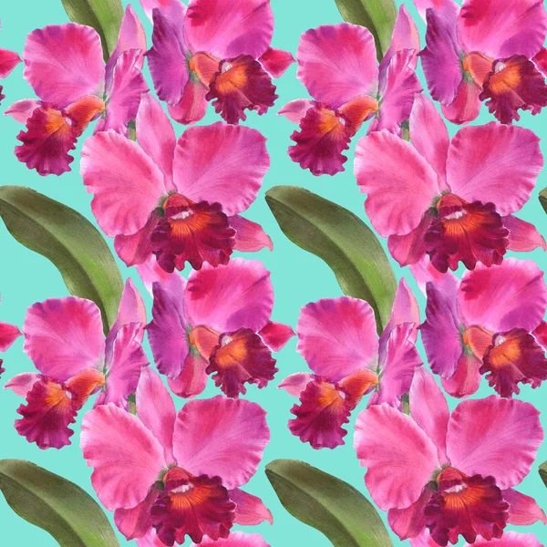 Orchid watercolor illustrations isolated on color background. Seamless pattern with colorful orchid.