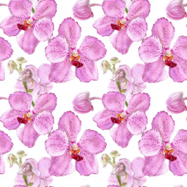 Beyaz arkaplanda izole edilmiş orkide suluboya çizimleri. Renkli orkide ile pürüzsüz desen.
