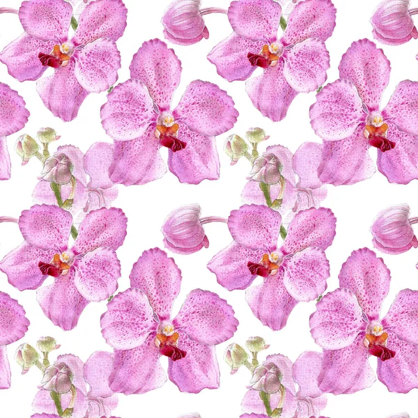 Beyaz arkaplanda izole edilmiş orkide suluboya çizimleri. Renkli orkide ile pürüzsüz desen.